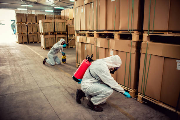 Best Flea Control Services  in Oildale, CA