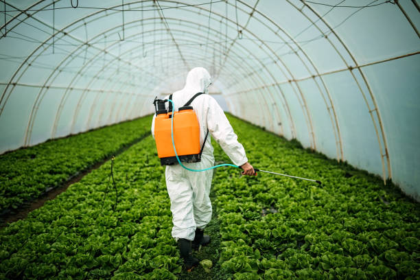 Best Commercial Pest Control Services  in Oildale, CA