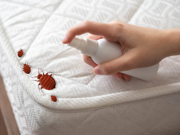 Pest Prevention Services in Oildale, CA