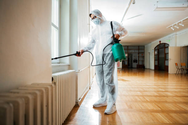 Best Pest Control Near Me in Oildale, CA